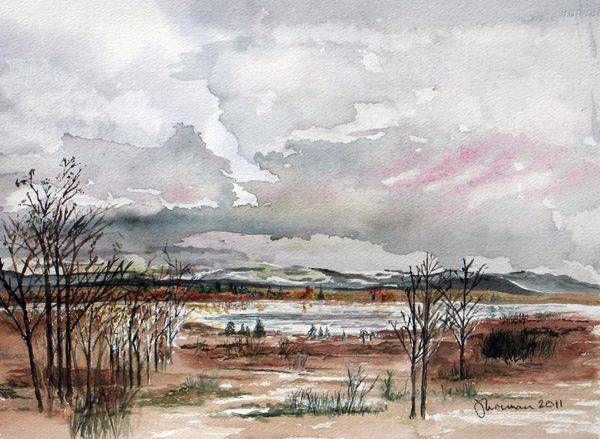 Landscapes