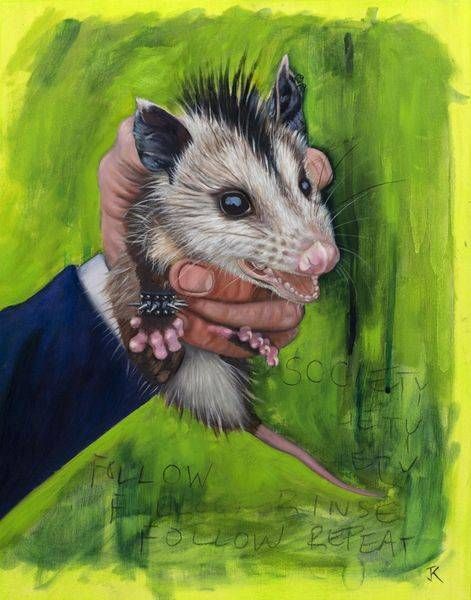 Punk Possum