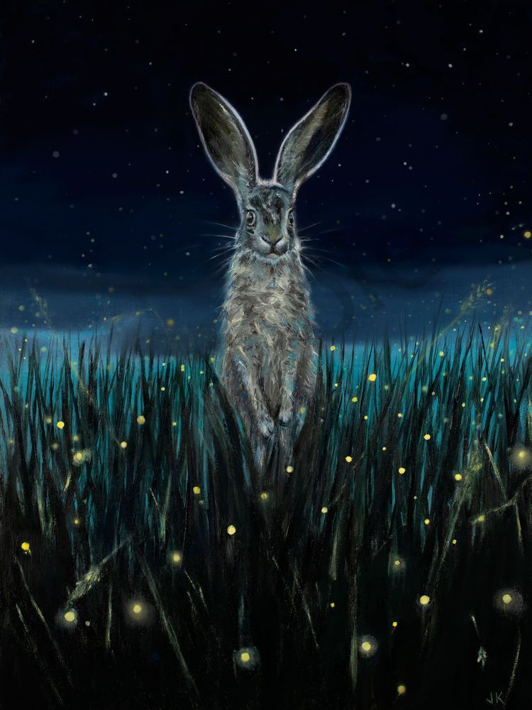 the-hare-and-the-fireflies