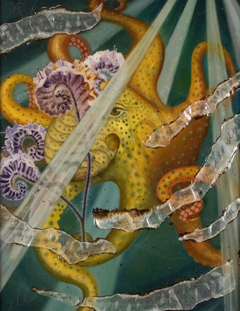 octopus cries for people 