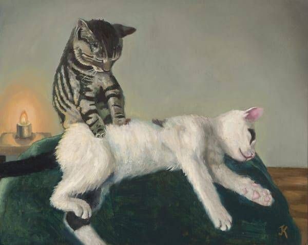 art of cat massage