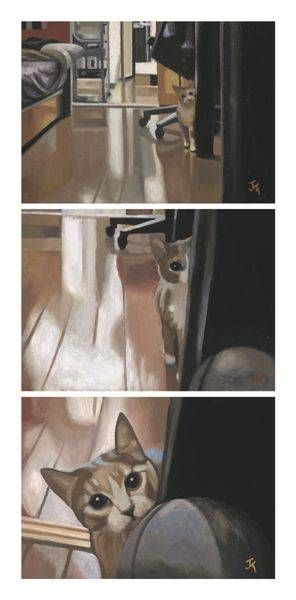 Cat Corner