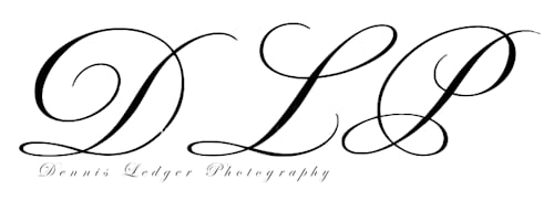 DLPArtGallery