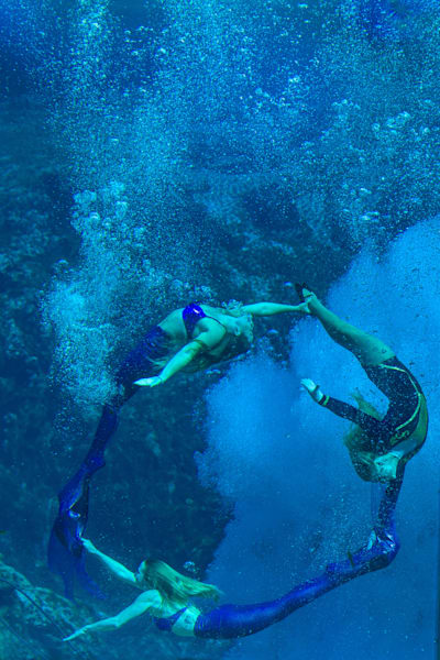 Weeki Wachee Mermaids Photography Art | kramkranphoto