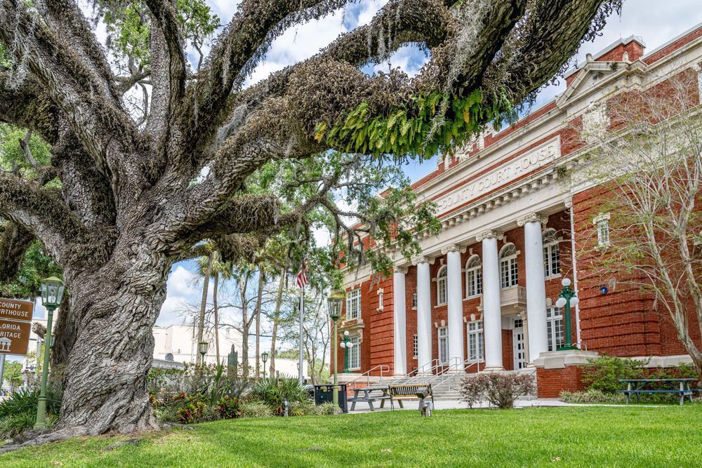 Brooksville Main Street 4 2 2024 3646 Photography Art | kramkranphoto