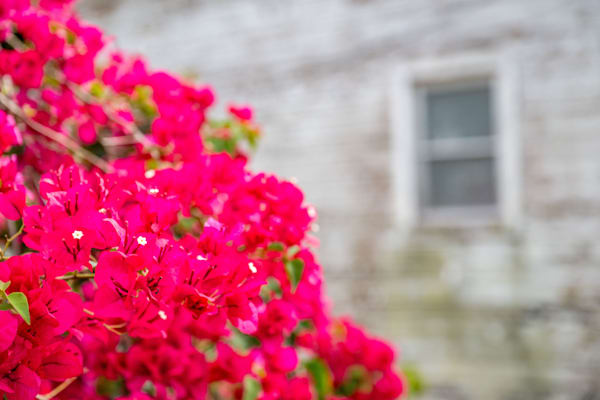 Brooksville Main Street 4 2 2024 3440 Photography Art | kramkranphoto