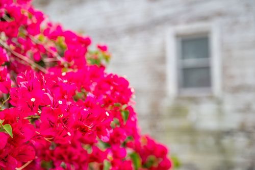 Mdawmdawmdawmdaw7qgraepd6cacehr zcfbfywxu2fyveayeunrgwctqqqltnerwweter6yomfiojy24adow ljj7f22f2vd2s3k0fn 38ezqodftc2xeuhdjufahdziomokxodj3hs jg da6ji5eudq olwagpj5emn5aznkdzcdncvggyilw68zwkbdxzkty6rrwspwzru8yxp56na1pcve27  9x rzz2ic3ktonupgeaqk9uuhpafh6sz0wihuxvwkfo0ibuivrtzbud9txwhhtnomg9s9afazp7p vu09u7vf6xrji5 m6mfhpkmmwl08l0nznnxwdjdc0p3vxqjqdc56