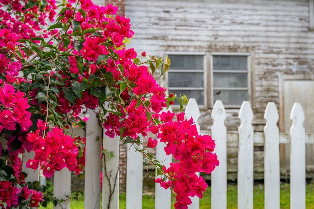 Brooksville Main Street 4 2 2024 3422 Photography Art | kramkranphoto