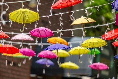 Mdawmdawmdawmdaw7qgraepd6cacehr zcfbfywxu2fyveayeunrgwctqqqltnerwweter6yomfiojy24adow ljj7f22f2vd2s3k0fn 38ezqodftc2xeuhdjufahdziomokxodj3hs jg da6ji5eudq olwagpj5emn5adw gyctolvydaslu tfdejbajemkr8zqvfwqwectxyuwzfizhle7tef fuz0wwqn2kvxaag0hejy5hvscaz15npqxtrpxpmjndgxduj2h8ijejceqsqq wjhwp hrxv2p6s04bb5qanire0bdydttoaftaroffzit9tlsp72dfrvd58nt6o