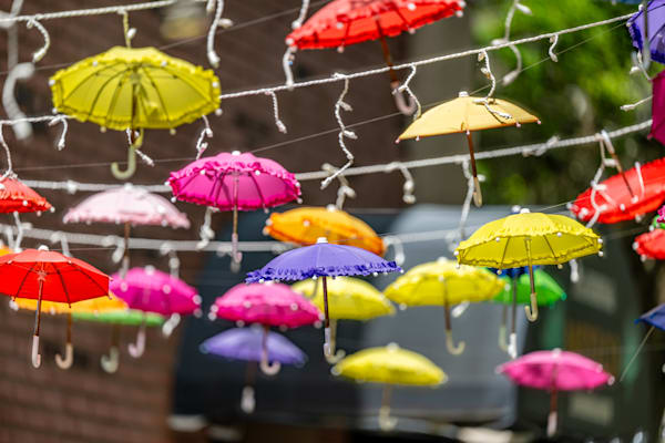 Bartow Main Street 3 31 2024 8976 Photography Art | kramkranphoto