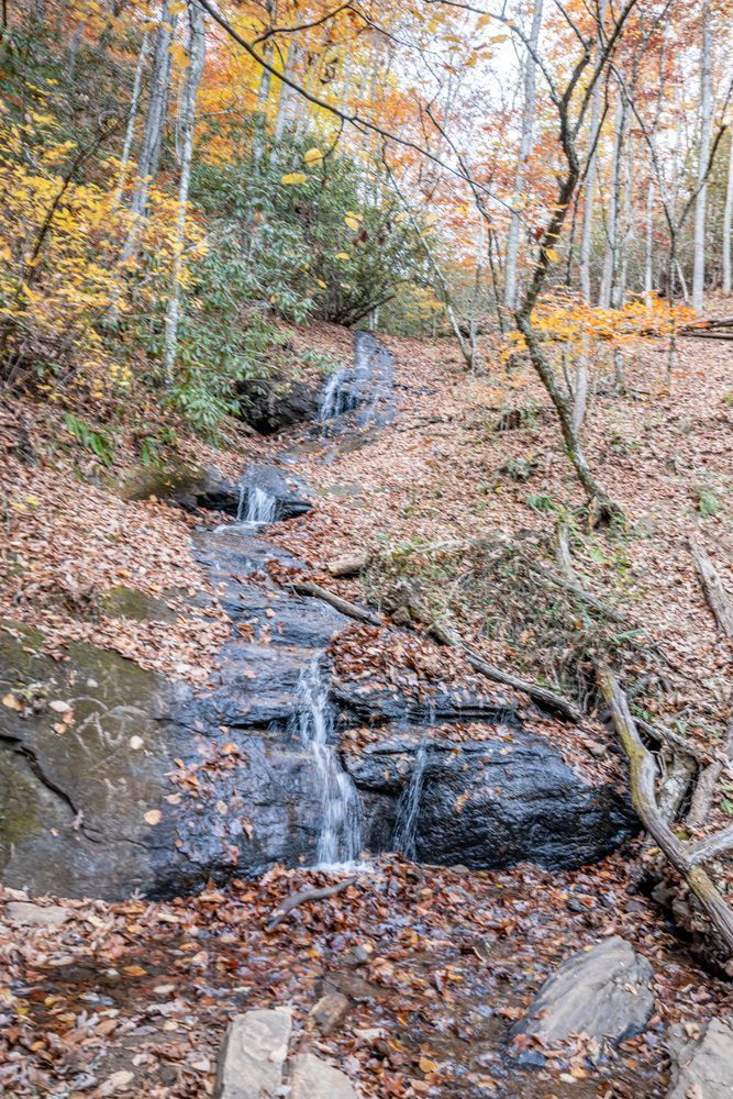 Wallace Branch, Part Of The Bartram Trail Photography Art | kramkranphoto