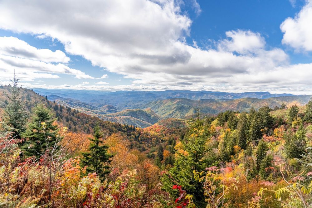 Blue Ridge Parkway In The Fall Photography Art | kramkranphoto