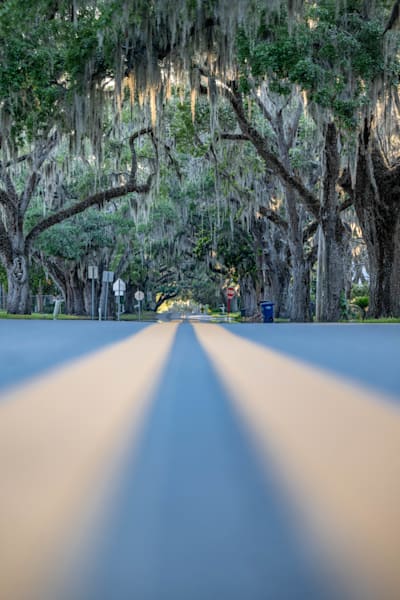 Crystal River Main Street 4 24 2024 5897 Photography Art | kramkranphoto