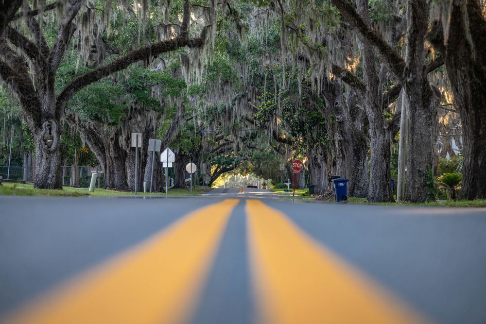 Crystal River Main Street 4 24 2024 5865 Photography Art | kramkranphoto