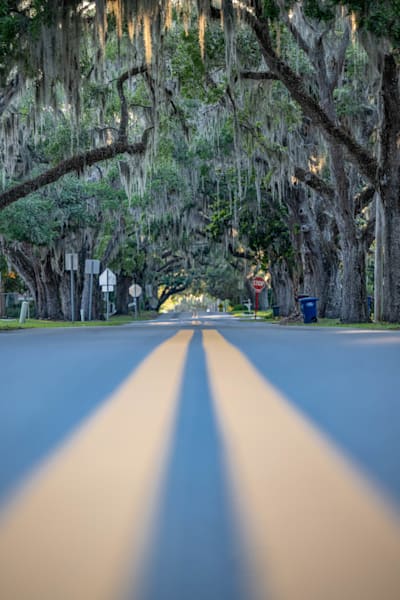 Crystal River Main Street 4 24 2024 5876 Photography Art | kramkranphoto