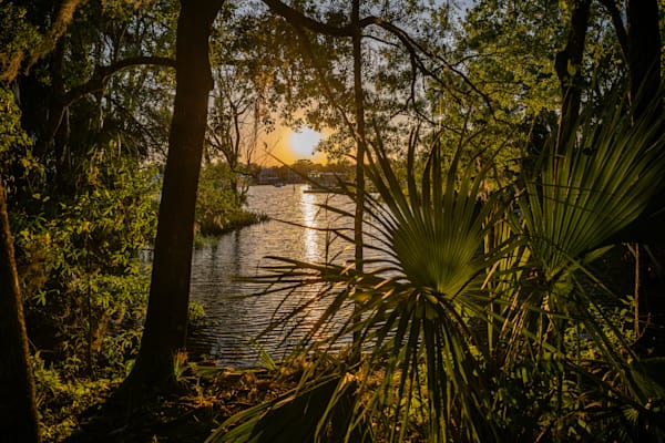 Crystal River Main Street 4 24 2024 5790 Photography Art | kramkranphoto