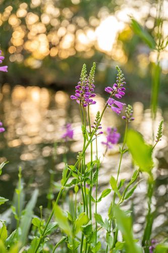 Mdawmdawmdawmdaw7qgraepd6cacehr zcfbfywxu2fyveayeunrgwctqqqltnerwweter6yomfiojy24adow ljj7f22f2vd2s3k0fn 38ezqodftc2xeuhdjufahdziomokxodj3hs jg da6ji5eudq olwagpj5emn5bzmsbetl9p2 dcrnp1ejzhiparbpl 44wovozrushwin7nbrkgqpmxayqel mixwk3azmnejkcvhlvap9epc qdx1xsdvzfiieom4hw97hoxdadyetjgs5drfznggtxvldfm0skagfuce r5qmdjjrsjg4a17srd0qgtowoophrgeh1bmneoae4unhqnx