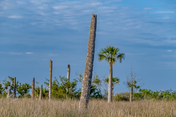 Castaway Island Preservation Photography Art | kramkranphoto