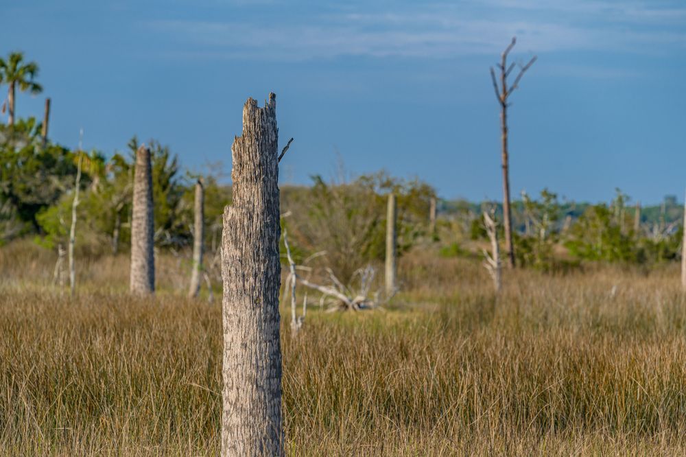 Castaway Island Preserve Photography Art | kramkranphoto