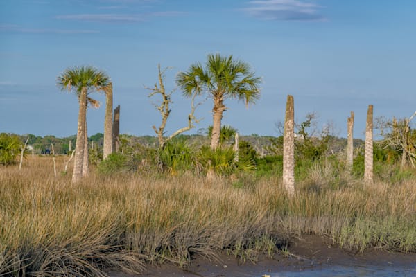 Natural Florida Light Photography Art | kramkranphoto