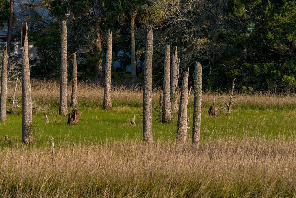 Castaway Island Preserve Photography Art | kramkranphoto
