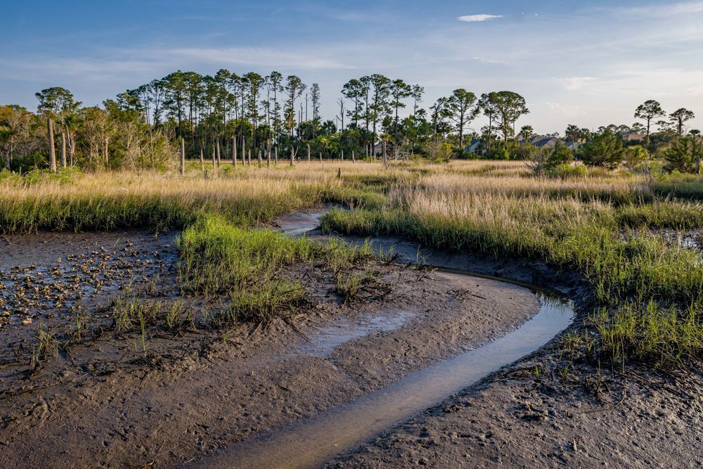 Castaway Island Preserve Photography Art | kramkranphoto