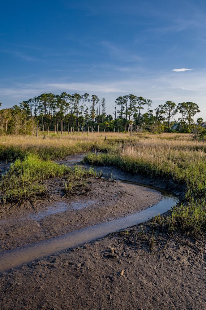 Castaway Island Preserve Foreground Photography Art | kramkranphoto