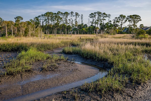 Castaway Island Foreground Photography Art | kramkranphoto