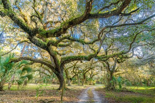 Mdawmdawmdawmdaw7qgraepd6cacehr zcfbfywxu2fyveayeunrgwctqqqltnerwweter6yomfiojy24adow ljj7f22f2vd2s3k0fn 38ezqodftc2xeuhdjufahdziomokxodj3hs jg da6ji5eudq olwagpj5emn5bdxccuf7wa1a1qxne78jaejzajp4lrrrpovsuk6lqgts9zrzoga9hqudwfebx1jlljb ziawhxwaj9ab crrn4sdpt2yc8ozydjajbkiv18uqx8rid2 f hmmidw9aeykz 86 figffsc r5qmdiy0cgeg6kitaj3zhja38ynzr7z