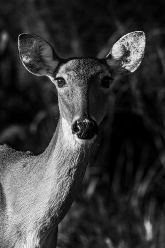 Mdawmdawmdawmdaw7qgraepd6cacehr zcfbfywxu2fyveayeunrgwctqqqltnerwweter6yomfiojy24adow ljj7f22f2vd2s3k0fn 38ezqodftc2xeuhdjufahdziomokxodj3hs jg da6ji5eudq olwagpj5emn5bdxccuf7wa1a1qxne78jaejzajp4lrrrpovank6lcwnwk3lzoga9hqudwfebz1jlljb ziawhxwaj9ab crrn4sdpt2yc8ozydjajbkiv18uqx8rid2 f hmmidw9aeykz 86 figffsc r5qmdiy0cickcrpgypeiw9rdsoeufzi