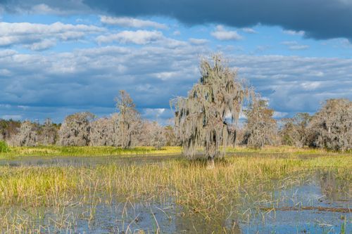 Mdawmdawmdawmdaw7qgraepd6cacehr zcfbfywxu2fyveayeunrgwctqqqltnerwweter6yomfiojy24adow ljj7f22f2vd2s3k0fn 38ezqodftc2xeuhdjufahdziomokxodj3hs jg da6ji5eudq olwagpj5emn5bdxccuf7wa1a1qxne78jaejzajp4lrrrpvp6ntybai9u7xo1qhwhgqub hubxy31rmvr9l onta8u4q ibbhy 8fouj2ekcyrnye gra3z4wvw8bvwwhrtn4ah9qhvl4ryu8m9gc goseswzfnnj 8ehsdeylm f5guxr7 3 dvjddq