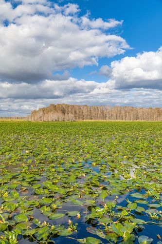 Mdawmdawmdawmdaw7qgraepd6cacehr zcfbfywxu2fyveayeunrgwctqqqltnerwweter6yomfiojy24adow ljj7f22f2vd2s3k0fn 38ezqodftc2xeuhdjufahdziomokxodj3hs jg da6ji5eudq olwagpj5emn5bdxccuf7wa1a1qxne78jaejzajp4lrrrpvp6otibmgduhz nqhwhgqub hubwy31rmvr9l onta8u4q ibbhy 8fouj2ekcyrnye gra3z4wvw8bvwwhrtn4ah9qhvl4ryu8m9gc goseswzfnnj 8ehsn9rbyo8btz06kmx9lx1iuw