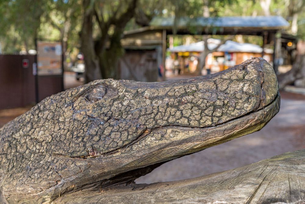 Florida Folk Finds Photography Art | kramkranphoto