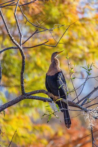 Mdawmdawmdawmdaw7qgraepd6cacehr zcfbfywxu2fyveayeunrgwctqqqltnerwweter6yomfiojy24adow ljj7f22f2vd2s3k0fn 38ezqodftc2xeuhdjufahdziomokxodj3hs jg da6ji5eudq olwagpj5emn5bdxccuf7wa1a1qxne78jaejzajp4lrrrpv sqqot1g8e60 ypaq9nq b5eez2ygivgo24if3xshwb brrckd 6txuuydviaclbmavba9l153bxsrrrdffudqni9susggzbeom6glrbuyor0xho93 vmhy wfhjfthgjn11yfdk22wers