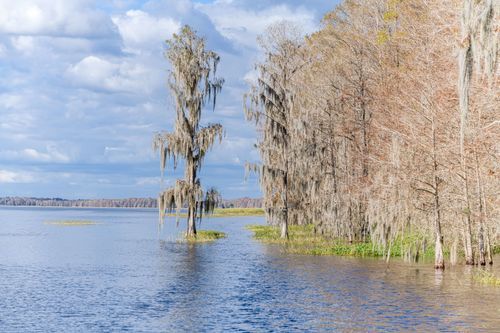 Mdawmdawmdawmdaw7qgraepd6cacehr zcfbfywxu2fyveayeunrgwctqqqltnerwweter6yomfiojy24adow ljj7f22f2vd2s3k0fn 38ezqodftc2xeuhdjufahdziomokxodj3hs jg da6ji5eudq olwagpj5emn5bdxccuf7wa1a1qxne78jaejzajp4lrrrpv wmto51lssonpusaq9nq b5eez2ygevgo24if3xshwb brrckd 6txuuydviaclbmavba9l153bxsrrrdffudqni9susggzbeom6glrbuyor0xho93 vmhy eoqvgs9h5rijgkjmkrjkme