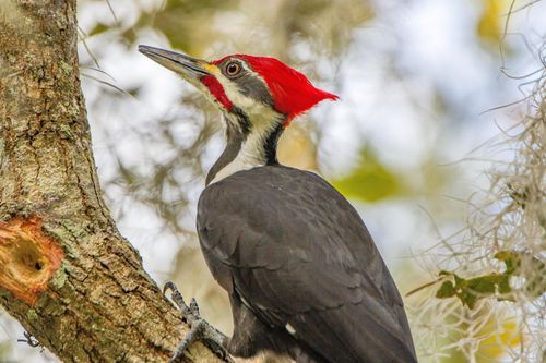 Mdawmdawmdawmdaw7qgraepd6cacehr zcfbfywxu2fyveayeunrgwctqqqltnerwweter6yomfiojy24adow ljj7f22f2vd2s3k0fn 38ezqodftc2xeuhdjufahdziomokxodj3hs jg da6ji5eudq olwagpj5emn5bdxccuf7wa1a1qxne78jaejzajp4lrrrpv wpto11k94zyvegaq9nq b5eezxz2yvgo24if3xshwb brrckd 6txuuydviaclbmavba9l153bxsrrrdffudqni9susggzbeom6glrbuyor0xho93 vmhy torx khshv7rirh iaxg6o