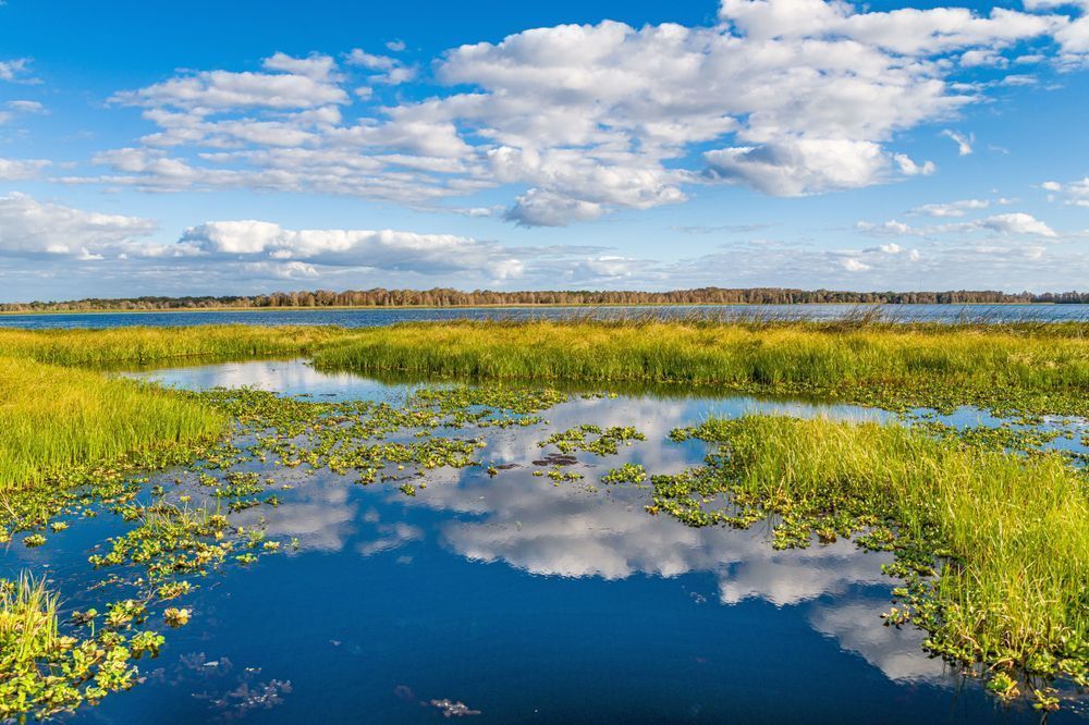 Heavenly Hatchineha Photography Art | kramkranphoto