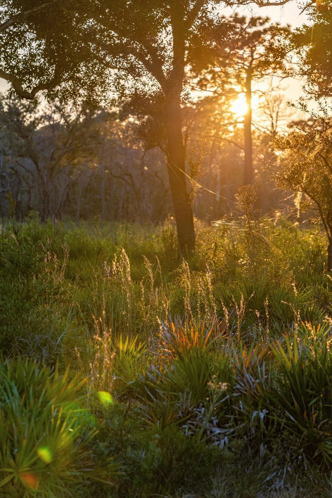 Central Florida Sunset Photography Art | kramkranphoto