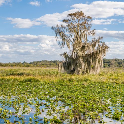 Mdawmdawmdawmdaw7qgraepd6cacehr zcfbfywxu2fyveayeunrgwctqqqltnerwweter6yomfiojy24adow ljj7f22f2vd2s3k0fn 38ezqodftc2xeuhdjufahdziomokxodj3hs jg da6ji5eudq olwagpj5emn5bdxccuf7wa1a1qxne78jaejzajp4lrrrpv aur4bfkid5y 5qhwhgqub hub2z31rmvr9l onta8u4q ibbhy 8fouj2ekcyrnye gra3z4wvw8bvwwhrtn4ah9qhvl4ryu8m9gc goseswzfnnj 8ehsixb0apewdqemg7ensq9tpg