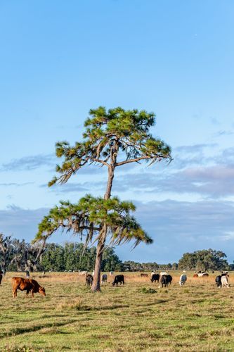 Mdawmdawmdawmdaw7qgraepd6cacehr zcfbfywxu2fyveayeunrgwctqqqltnerwweter6yomfiojy24adow ljj7f22f2vd2s3k0fn 38ezqodftc2xeuhdjufahdziomokxodj3hs jg da6ji5eudq olwagpj5emn5bdxccuf7wa1a1qxde1zgvrhu3ipf07tmpfqcxrekbwon kktpgxa76rhrc e2ijjvmfuwcbyysgcv bqvjy5oqct1uz6ekb88fo8laki518 cw8puwwhhoszvwp  sxhlp 0s7xv5dnixwq g3wlgyjrq0h0gtb9geg