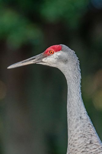 Mdawmdawmdawmdaw7qgraepd6cacehr zcfbfywxu2fyveayeunrgwctqqqltnerwweter6yomfiojy24adow ljj7f22f2vd2s3k0fn 38ezqodftc2xeuhdjufahdziomokxodj3hs jg da6ji5eudq olwagpj5emn5bdxccuf7wa1a1qxde1zavrxw2jzf59o0ybkaxrekbwon kktpgba76rhrc e2ijjvmfuwcbyysgcv bqvjy5oqct1uz6ekb88fo8laki518 cw8puwwhhoszvwp  sxhlp 0s7xv5dnixhxp 2h3adxo 5yc1kmv oa