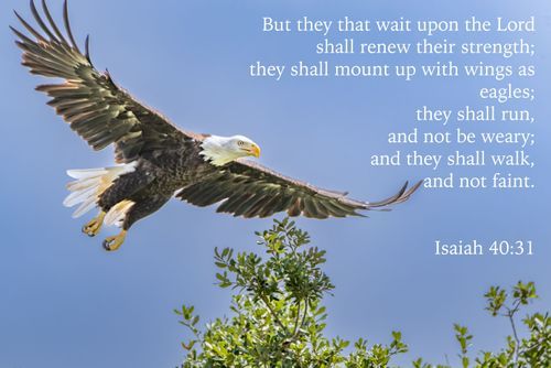 Mdawmdawmdawmdaw7qgraepd6cacehr zcfbfywxu2fyveayeunrgwctqqqltnerwweter6yomfiojy24adow ljj7f22f2vd2s3k0fn 38ezqodftc2xeuhdjufahdziomokxodj3hs jg da6ji5eudq olwagpj5emn5bdxccuf7wa1a1vx5s srnnidkcqt657qoekvnk 0awifk9u5kqg4 6pn4eed1zwcl26jslbujwuxwsb3 frtg7cd1us swvi zmb2lrs3ltwwqo8gdy u x8rzjhrshl4mldi b98qb9g vmmzzynro8atelunfbgkzrbtjwcepp3azbg1q6u