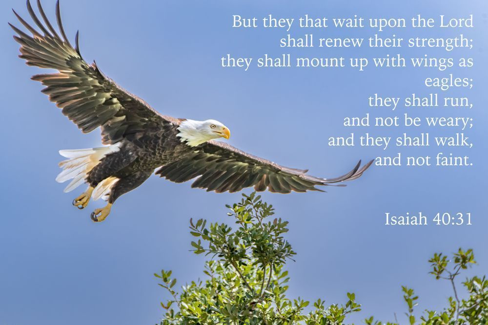 Isaiah 40:31 Photography Art | kramkranphoto