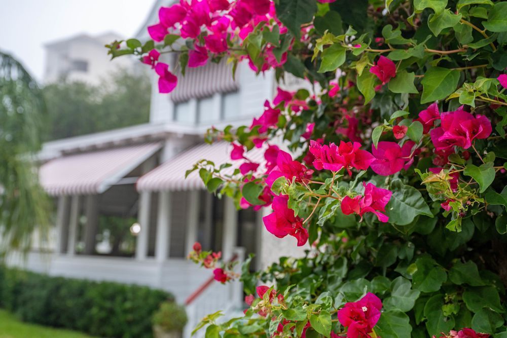 Cocoa Village Main Street 5 10 2024 5066 Photography Art | kramkranphoto