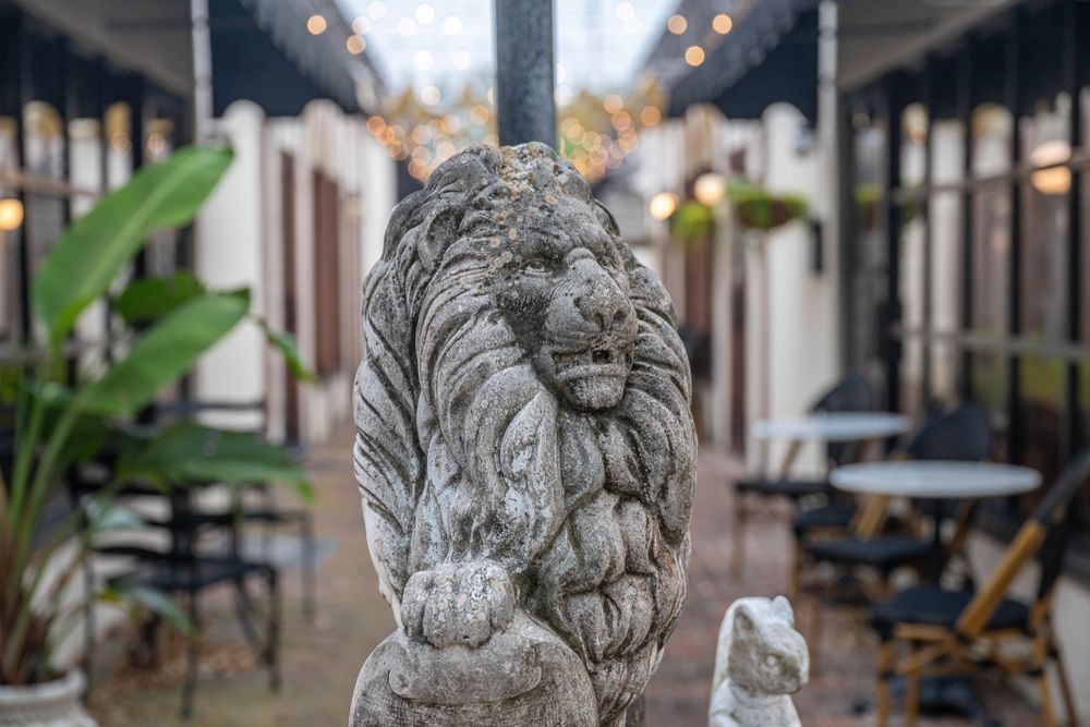 Cocoa Village Main Street 5 10 2024 5140 Photography Art | kramkranphoto