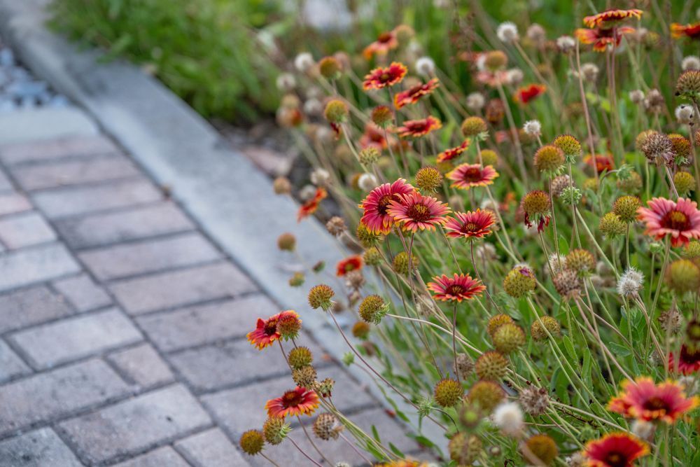 Cocoa Beach Main Street 5 8 2024 3640 Photography Art | kramkranphoto