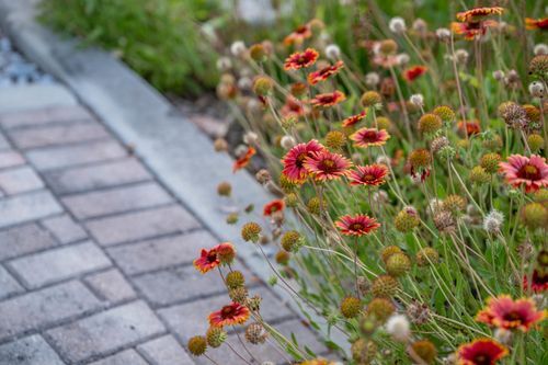 Mdawmdawmdawmdaw7qgraepd6cacehr zcfbfywxu2fyveayeunrgwctqqqltnerwweter6yomfiojy24adow ljj7f22f2vd2s3k0fn 38ezqodftc2xeuhdjufahdziomokxodj3hs jg da6ji5eudq olwagpj5emn5be36db ztbvyjbylw68zwkbdxzkty6rrxsp zru8yxp56n61pcvfm6737s rzz2ic3kton fleaqk9uuhpafh6sz0wihuxvwkfo0ibuivrtzbud9txwhhtnomg9s9afazp7p vu09u7vf6xrji5 m6mfhpkmmwl08l0nickdm6jafog6 90ui wi7