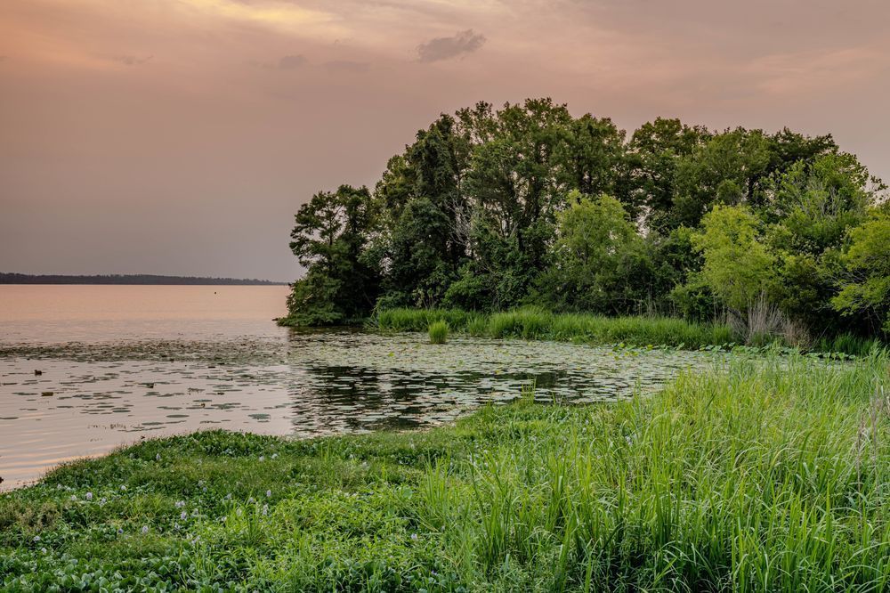 Chattahoochee Main Street 5 27 2024 2655 Photography Art | kramkranphoto