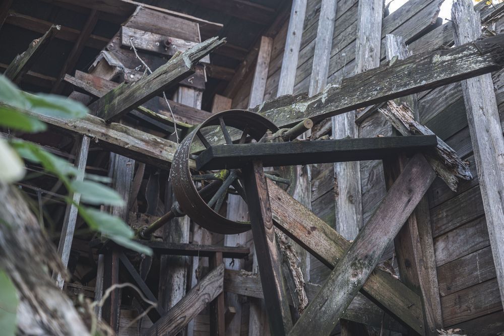 Avera Ga With Keith Ward 10 28 2023 0663 Photography Art | kramkranphoto