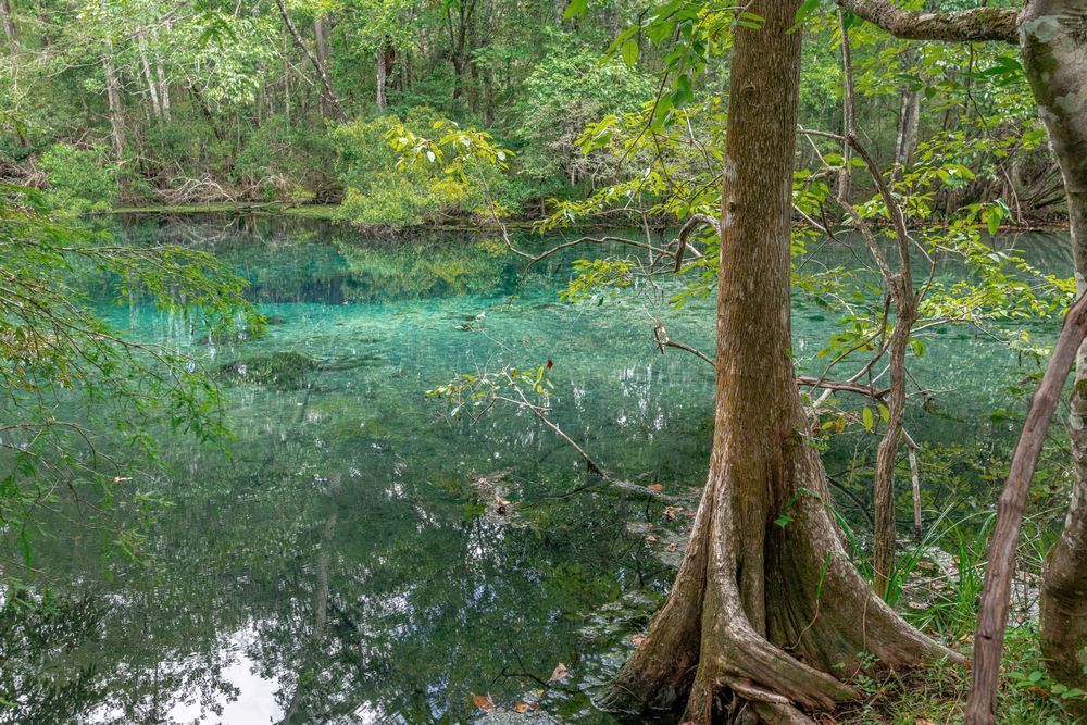 Wakulla Waters Photography Art | kramkranphoto